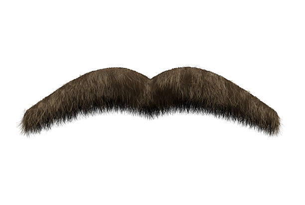 Hairy brown moustache stock photo