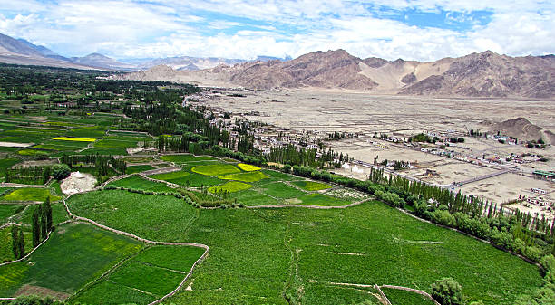 Fields Fields of Ladakh moonland stock pictures, royalty-free photos & images