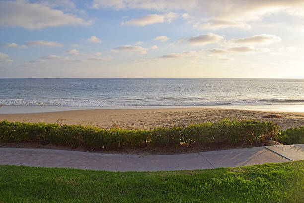 istock Laguna Beach Coastline & Gardens 520604665