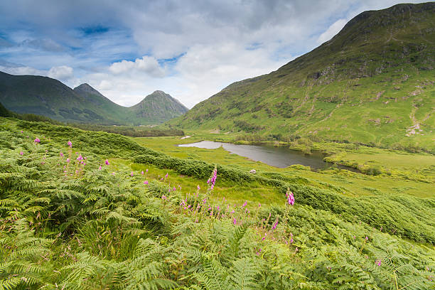 Scotland,Glen Etive. This image was taken on the road that leads through Glen Etive down towards Loch Etive. glen etive photos stock pictures, royalty-free photos & images