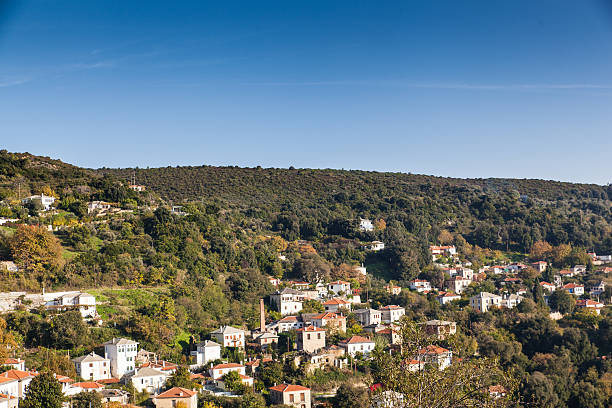 istock Horto houses 520609820