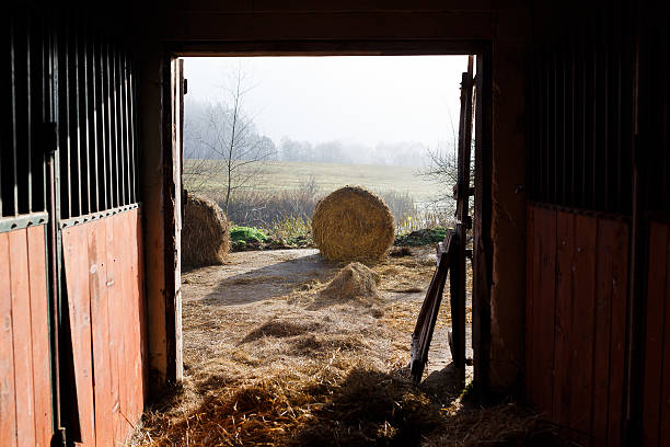 istock Door of a stable 520610290