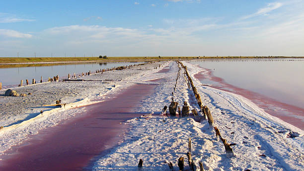 istock landscape with salty sea in Sivash 520611132