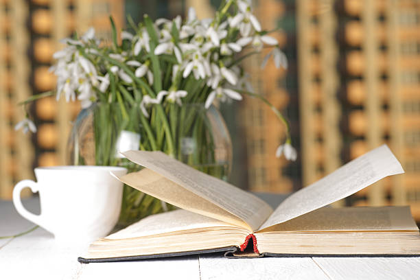istock flower on the book in front of the window 520612192
