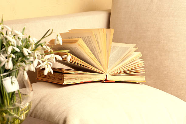 istock Open book on a pillow in bed. homeliness 520612358