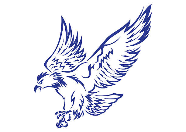 Eagle Vector illustration of an eagle aquila heliaca stock illustrations