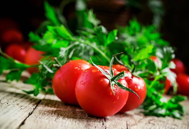 istock Wet red tomatoes, herbs, close-up shot 520613320