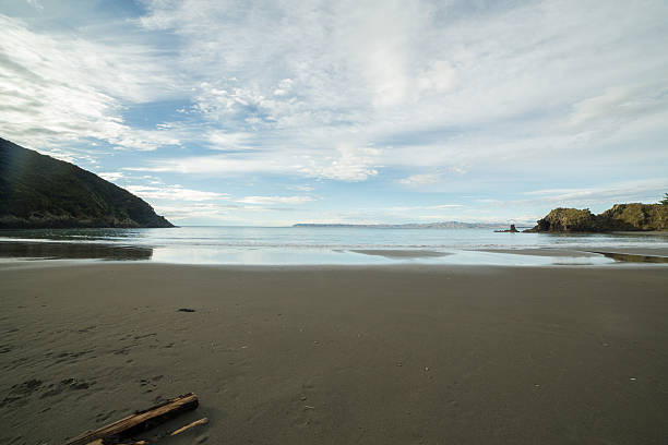 白のビーチ、south island ,new ニュージーランド - marlborough region sunrise new zealand sea ストックフォトと画像