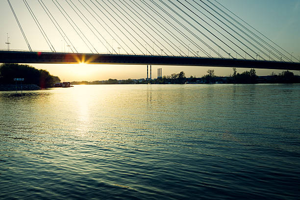 istock Ada Bridge sunset, Belgrade, Serbia 520615650