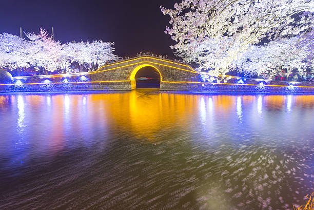 istock Night cherry and ancient Chinese Arch 520616742