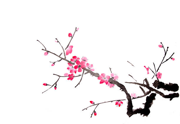 cherry painting vector art illustration