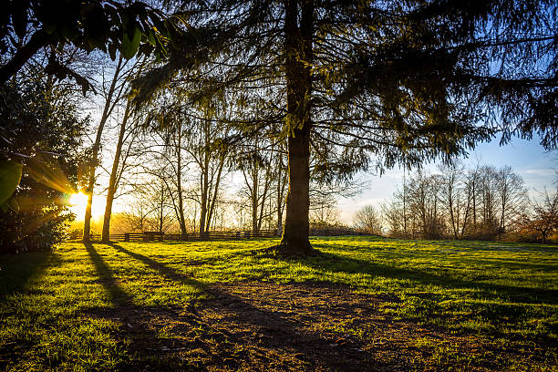 istock Sunrise of Derby 520617560