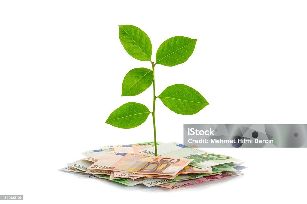 Money Tree Growth coming from a bunch of European Union Currency isolated Bank Account Stock Photo