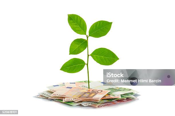 Money Tree Stock Photo - Download Image Now - Bank Account, Beginnings, Branch - Plant Part