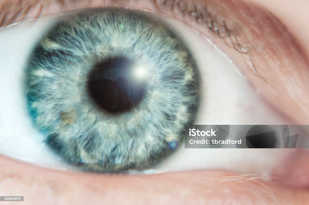 Close Up Of A Blueish Green Eye Macro Photograph Of A Blueish Green Eye Close-up Stock Photo