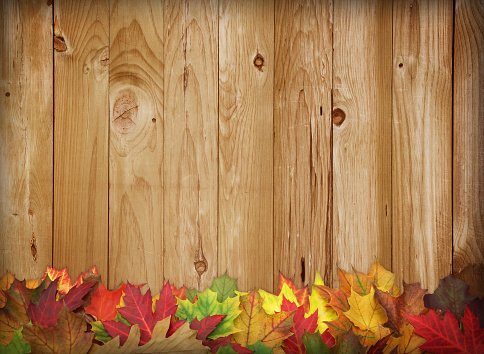 Colorful rustic wooden fall border with a variety of autumn leaves