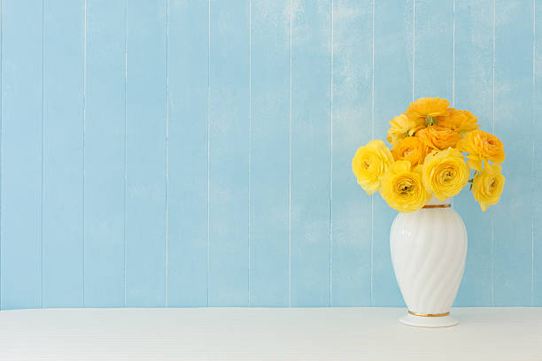 Ranunculus flowers Blue background of Ranunculus flowers buttercup family stock pictures, royalty-free photos & images