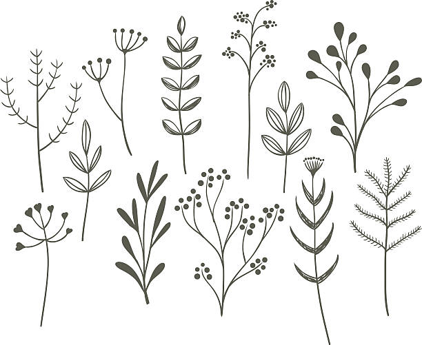 ilustrações, clipart, desenhos animados e ícones de doodle grama série. - flower bed gardening flower field