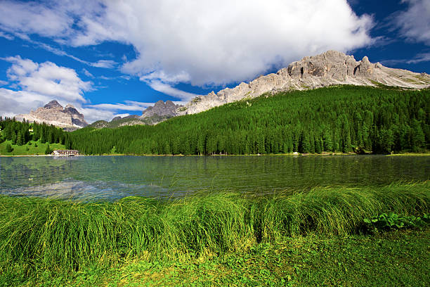 Lake Misurina with grass surrounded by conifer forest in Dolomites stock photo