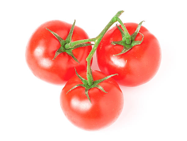 istock branch of three tomatoes isolated on white background 520621312