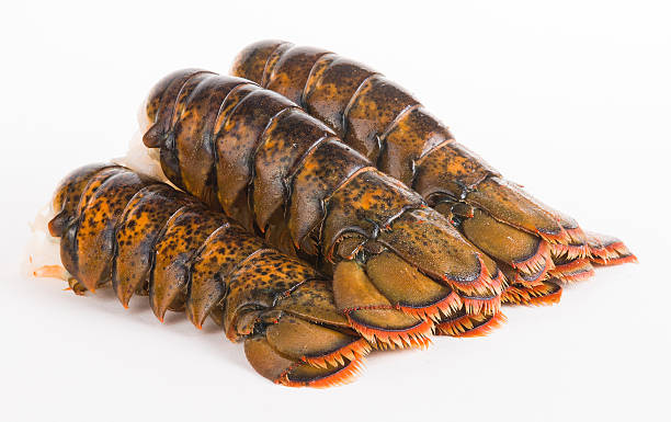 Lobster tails Four lobster tails arranged in the line tail fin photos stock pictures, royalty-free photos & images