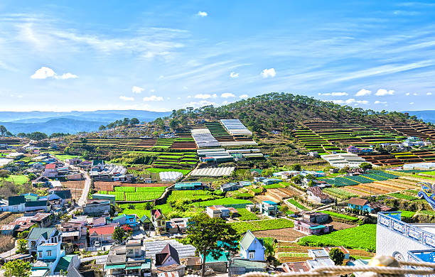 Beauty on the plateau hills of Dalat Beauty Da lat highland homes interspersed with vegetable gardens, planting flowers greenhouse, so far as hill with beautiful pine forests and idyllic in the highlands dalat photos stock pictures, royalty-free photos & images