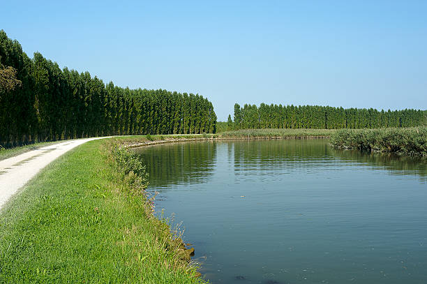 Cтоковое фото fiume Sile