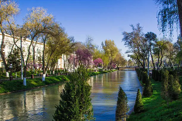 River in the centre of the Tashkent, Uzbekistan. Spring in Tashkent