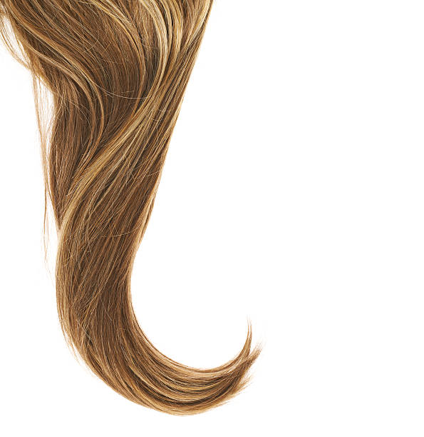 istock Hair fragment over the white 520622120