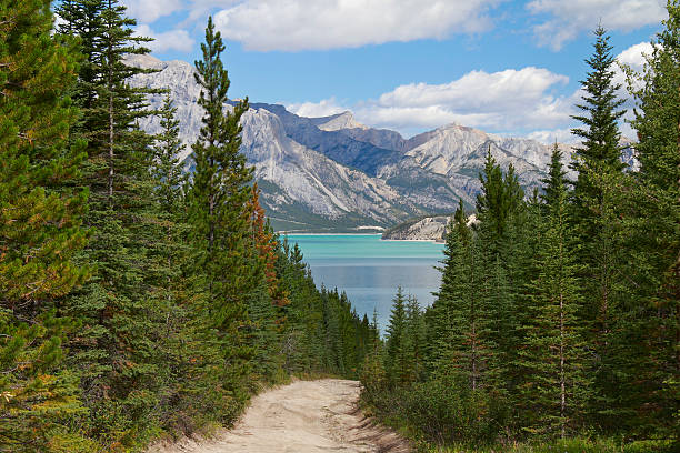 istock Trail Leading to a Mountain Lake - Alberta, Canada 520622261