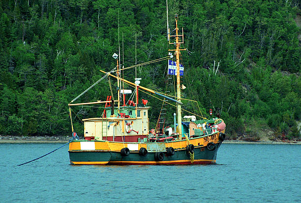 istock Old fishing boat in river Saint Laurent, Quebec 520622831