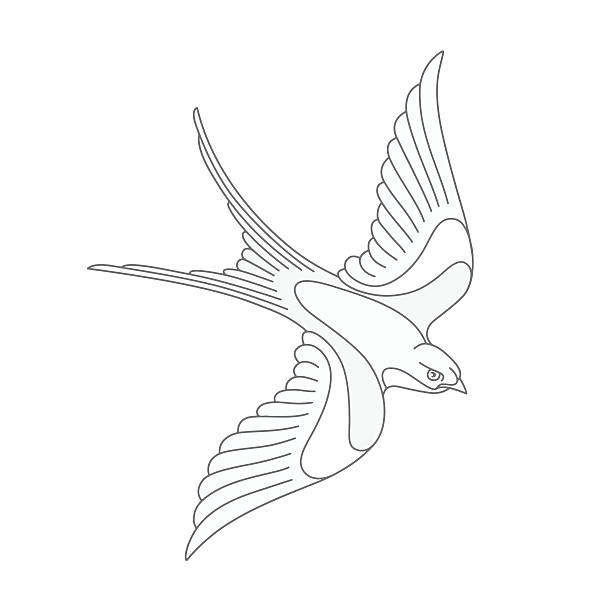 stockillustraties, clipart, cartoons en iconen met flying swallow or swift tattoo design. - sparrows