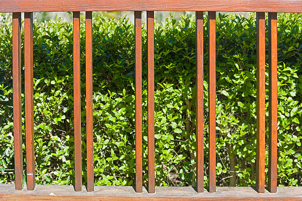 vines, fence and street