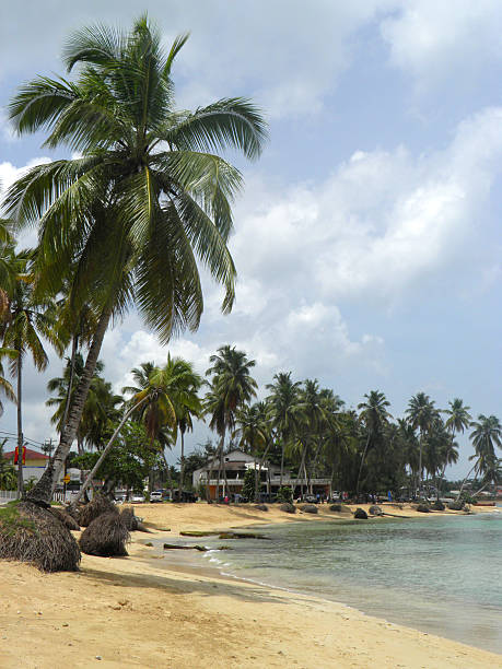 Caribbean beach of Las Terrenas in the Dominican Republic with palm trees and white sand