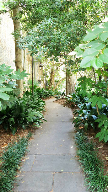 istock Tropical Residential Footpath, Charleston South Carolina 520624385
