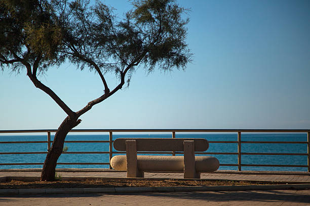 istock Bench and a tree in a sea quay 520637625