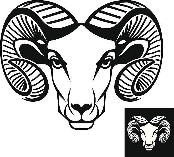 Ram head logo or icon This is a ram head logo or icon in black and white. This is vector illustration ideal for a mascot and T-shirt graphic. Inversion version included. ram stock illustrations