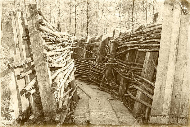 guerra mondiale un trench belgio fiandre - trincea foto e immagini stock