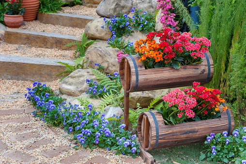 Closeup scene of beautiful garden