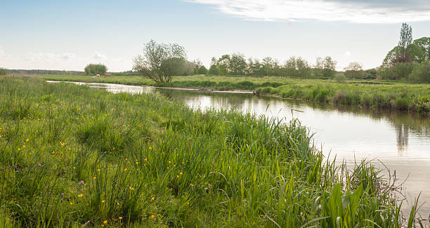 istock Countryside with a curved river in springtime 520642245