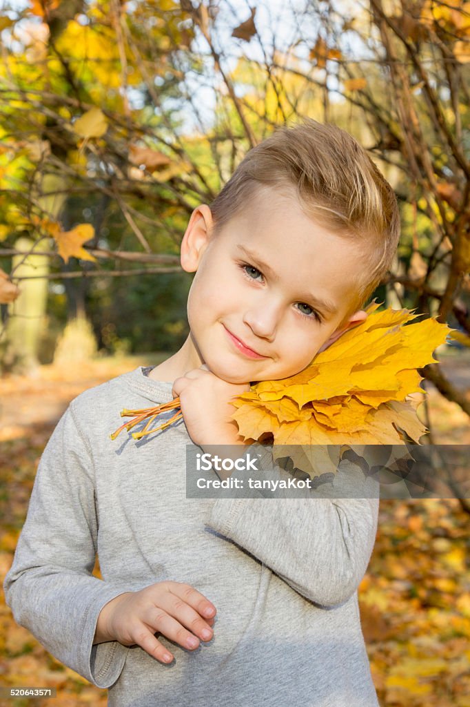 boy playing with autumn leaves cheerful boy laughing and throwing autumn leaves Adult Stock Photo