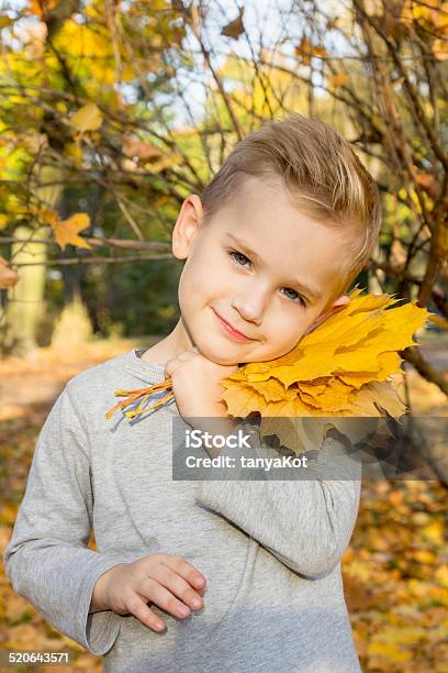 Boy Playing With Autumn Leaves Stock Photo - Download Image Now - Adult, Arts Culture and Entertainment, Autumn