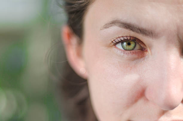 verde occhi - white focus on foreground foto e immagini stock