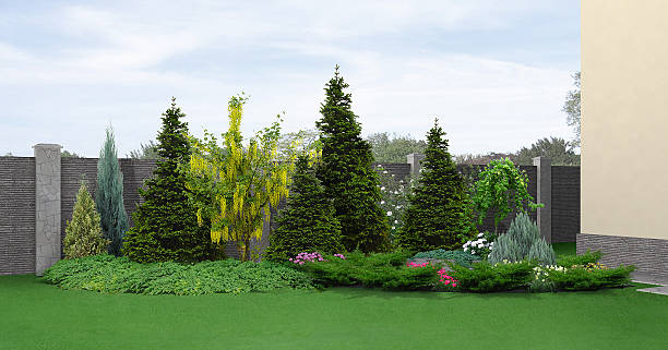 istock Landscaping planting of greenery, 3d rendering 520648990