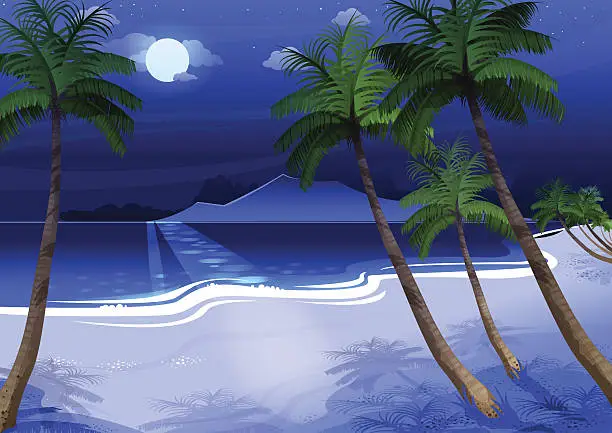 Vector illustration of Beautiful night seascape