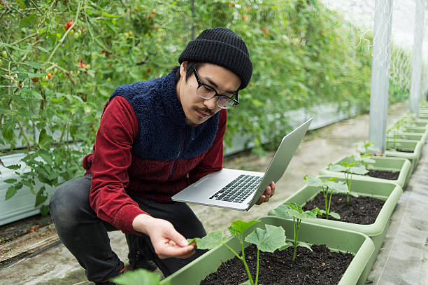 istock Young farmer working with laptop in a greenhouse 520652702