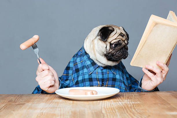 pug shirt guy