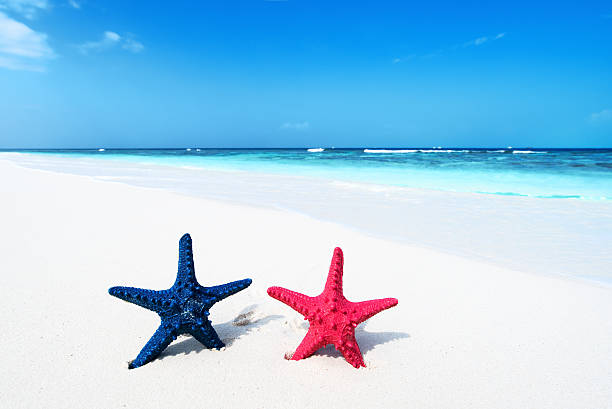 istock Tropical beach vacation and travel concept 520655780