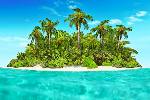 istock Whole tropical island within atoll in tropical Ocean. 520656970