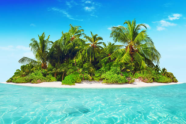 istock Whole tropical island within atoll in tropical Ocean. 520657050
